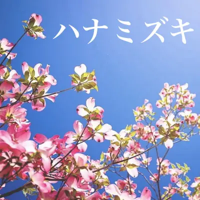 画像読みこみエラー